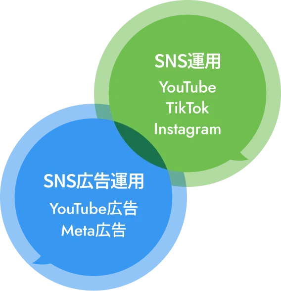 SNS運用,SNS広告運用