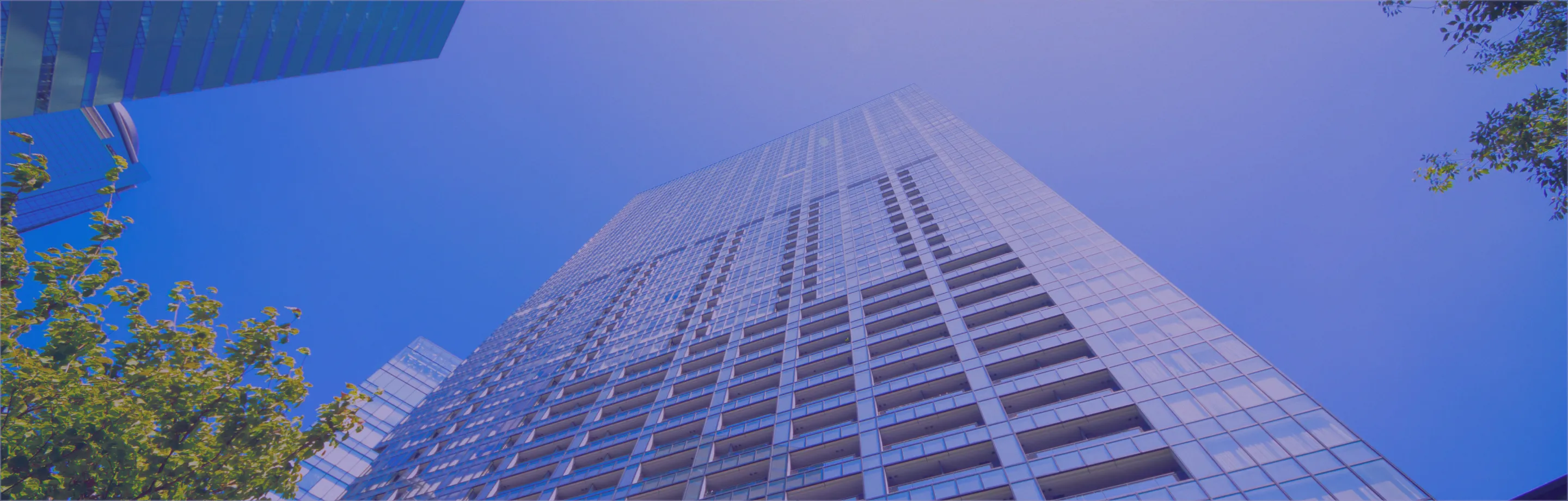 デスクでノートパソコンを使っている人々の様子